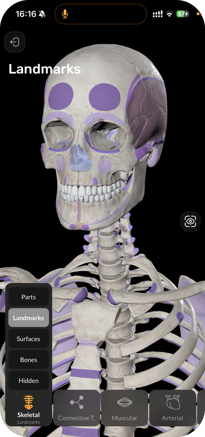 Main screen of the Easy Anatomy 3D app