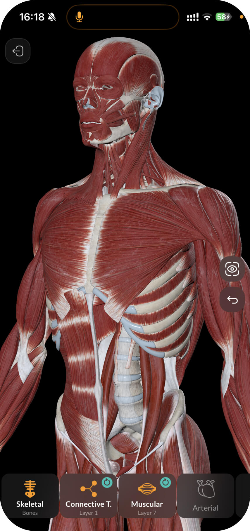 Main screen of the Easy Anatomy 3D app