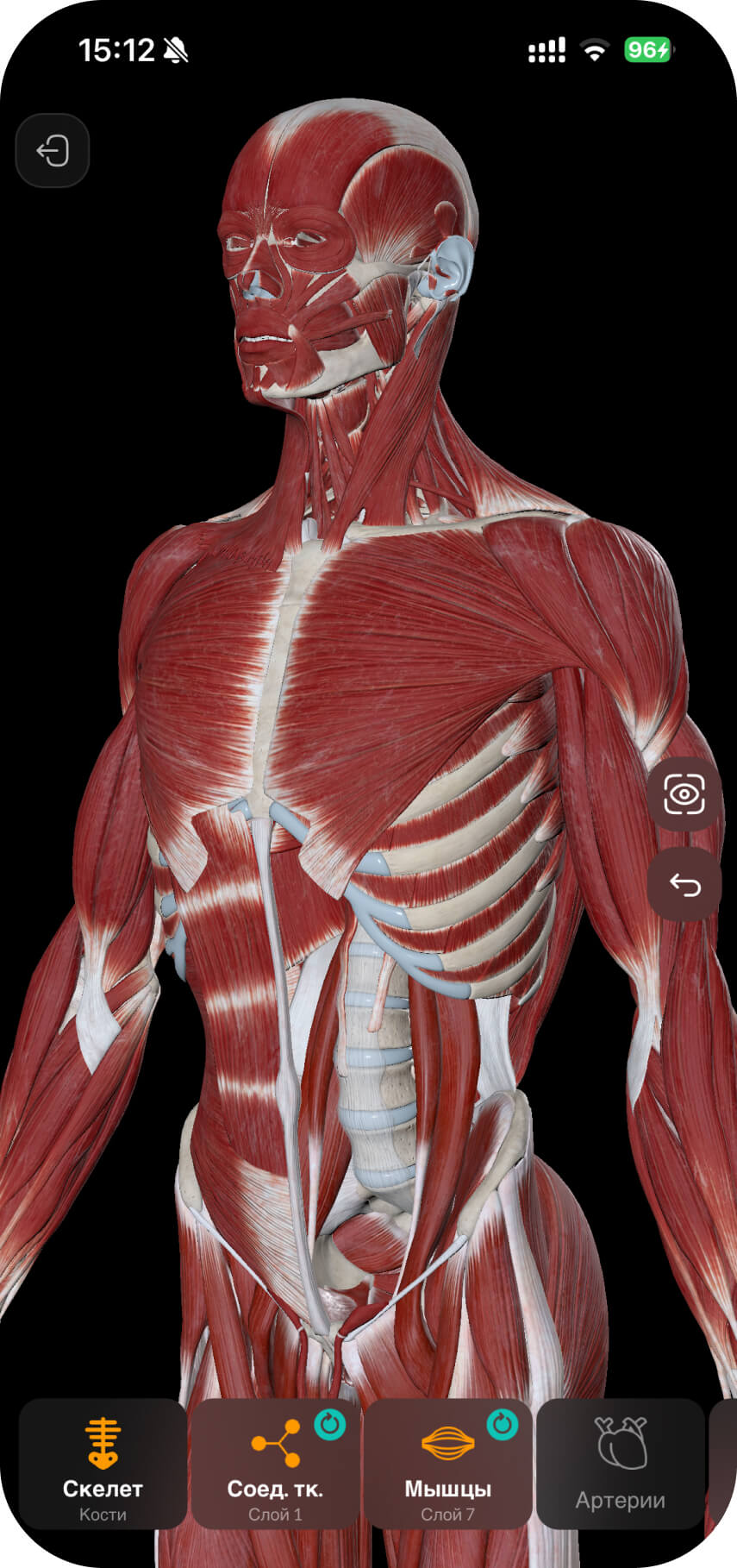 Скриншот главного экрана приложения Easy Anatomy 3D